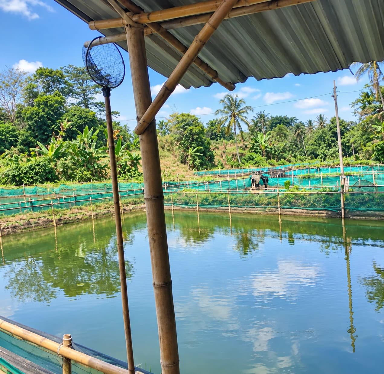 DIJUAL : TANAH EMPANG LUAS DI DUREN SERIBU - BOJONGSARI, DEPOK - Foto 1
