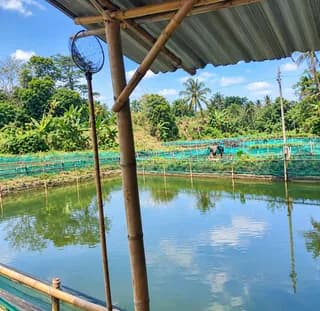 DIJUAL : TANAH EMPANG LUAS DI DUREN SERIBU - BOJONGSARI, DEPOK - Thumbnail 1