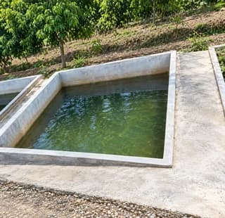 DIJUAL / DISEWAKAN: VILLA ORCHA FARM  - Thumbnail 6