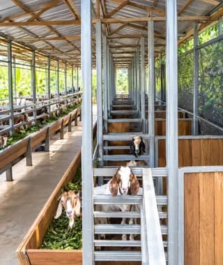 DIJUAL / DISEWAKAN: VILLA ORCHA FARM  - Thumbnail 4